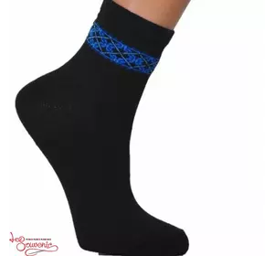 Дитячі шкарпетки з синьою вишивкою DSH-1004